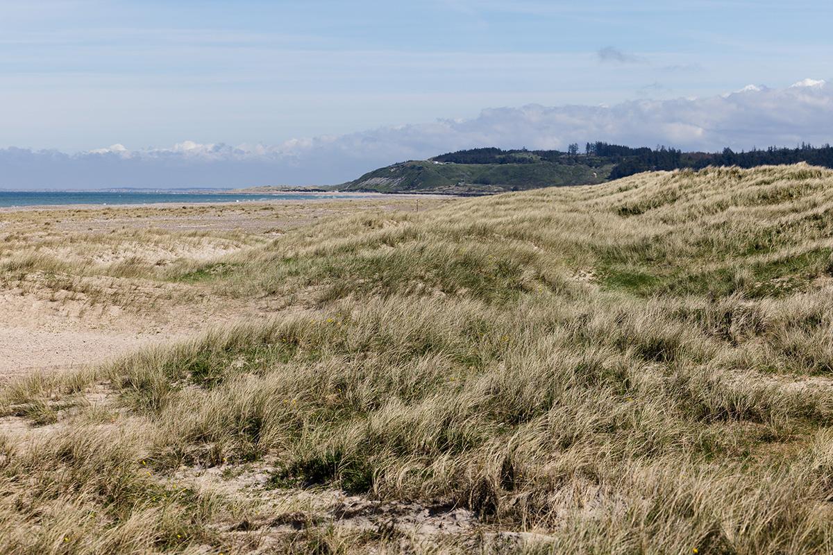 Grønnestrand